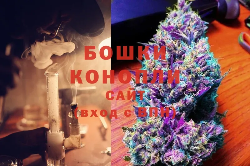 Канабис OG Kush  Ессентуки 